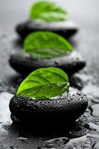 integrative modalities
